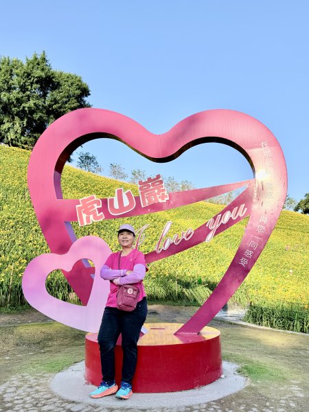 虎山巖賞金針花順撿基石    2025.5.142789438