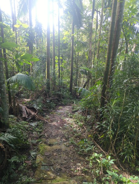 2026.01.25－微笑山線：【天上山系】烘爐地土地公段2994598