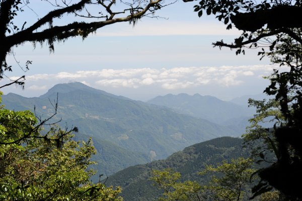 2013_0629_檜山巨木森林步道2174327