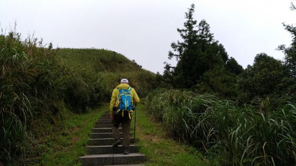 起大霧~~~無大景的五分山!186117