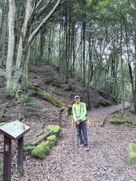 船型山神木悠遊    2025.09.222893811