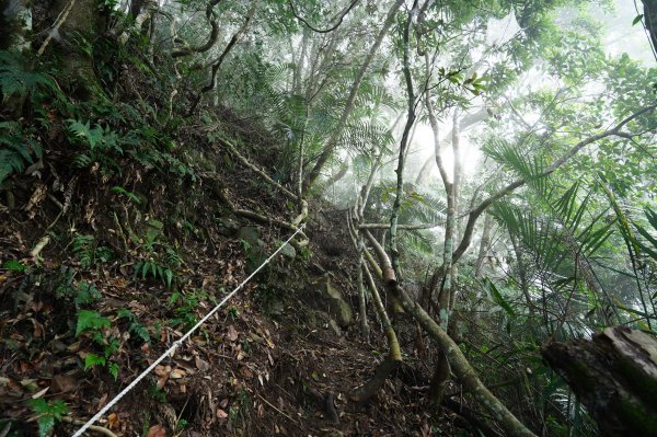 新竹 五峰 鬼澤山2634018