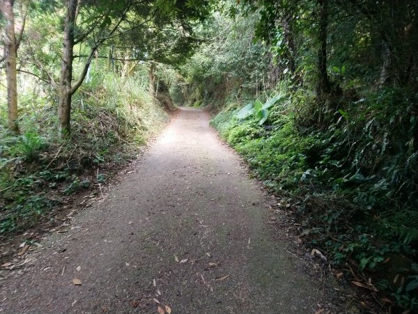 馬那邦山(小百岳編號037)720090