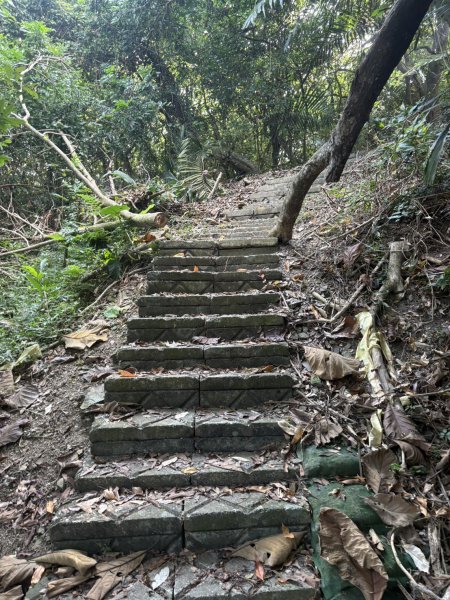 20251101烏山縱走北段 雲山寺至刣牛湖山(途經風空子山.孟璋山.烏山.刣牛湖山北峰)2928754