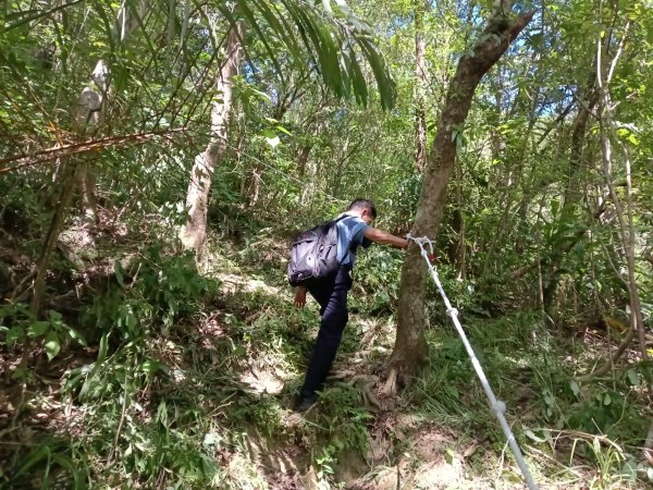 雙溪區內盤山坑古道+石硿子越嶺古道+盤山坑古道+過火坪古道O型2914382