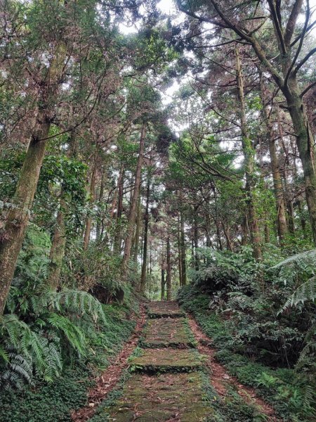 環七星山人車分道步道-陽金公路段 - 走遍陽明山尋寶任務2255029