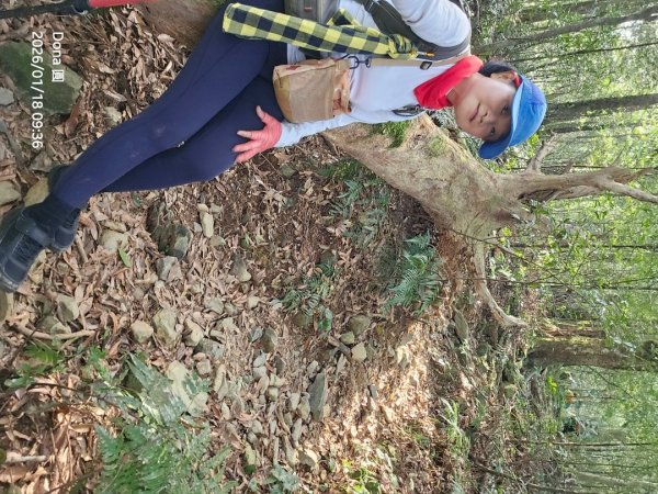 南插天山.魯培山.上宇內山(南插北峰)2989760