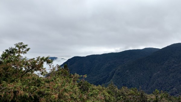 茂興懷舊步道1510265