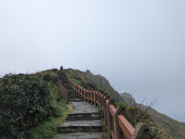 2023-02-11 忘憂谷步道2792600