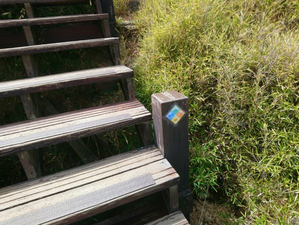 合歡山東峰上下(遊客中心起登)871471