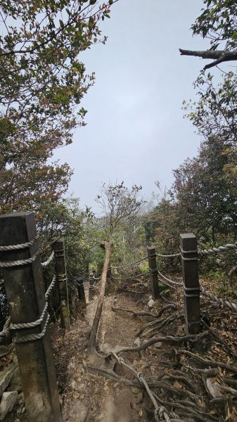 【美美兔走山趣】谷關抓雄-老六白毛2749977