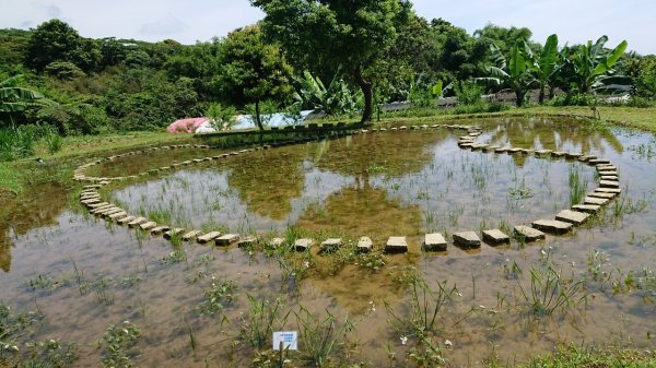 淡蘭北路後半段（雙溪到石城）629414