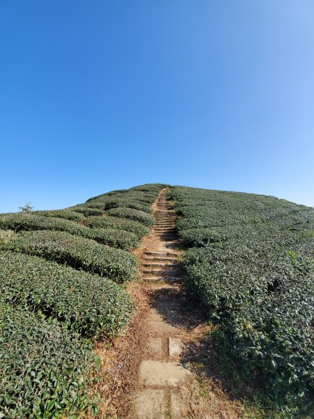 勇闖雲嘉五連峰821327