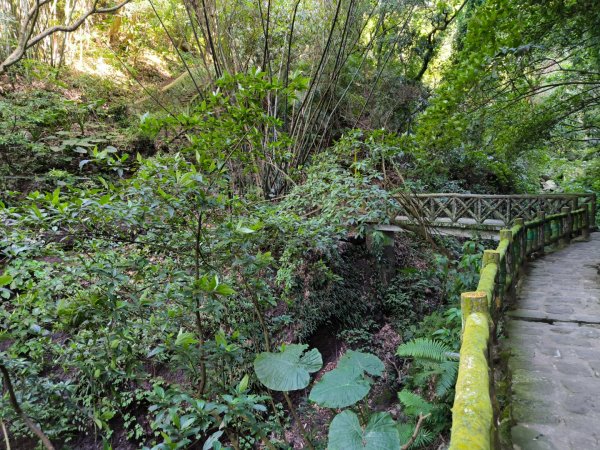 台北大縱走第一段3015760