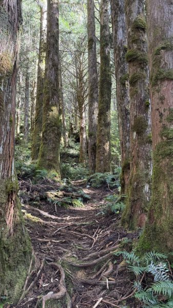 20250913小百岳三星山2885238