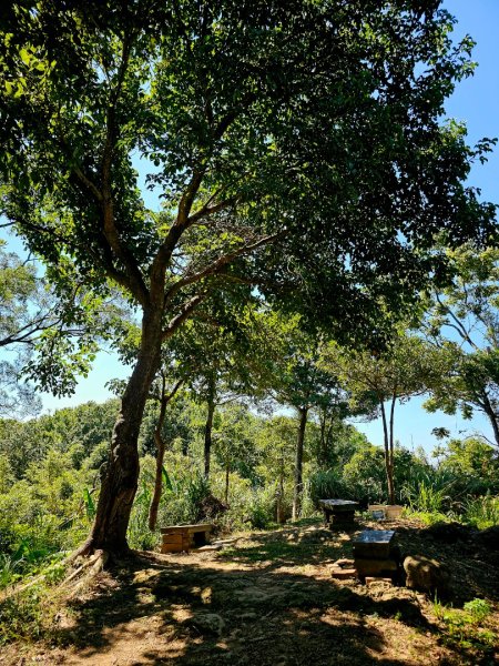 2025臺北大縱走第六段：中華科技大學至捷運麟光站2916599