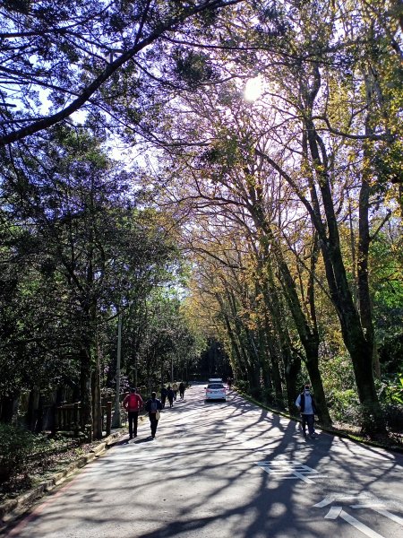 桃園大溪石門水庫楓林步道、齋明寺古道【南山神壽任務】1963886