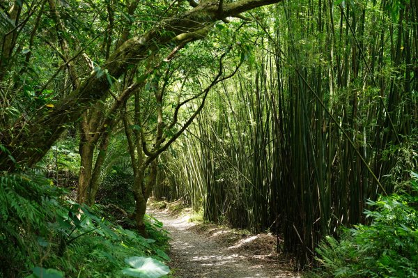 宜蘭 礁溪 三角崙山2548291