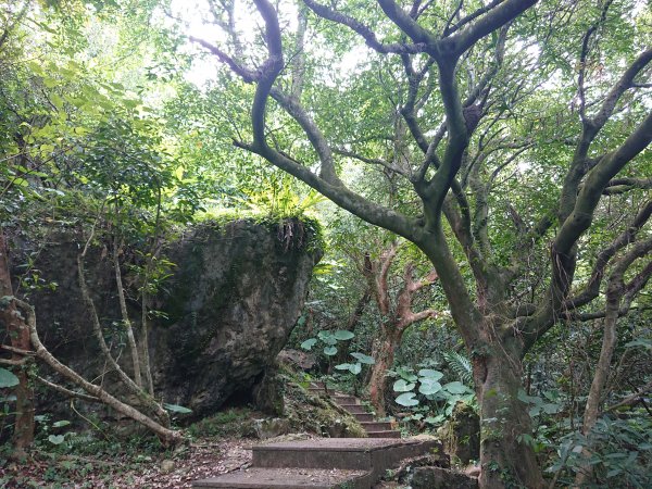 龜山島登頂-環湖-繞島1081206