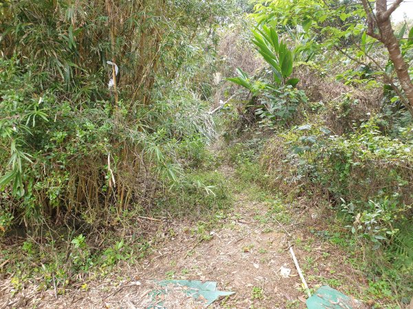 水寨下古道帽盒東山蕃子寮山1620750