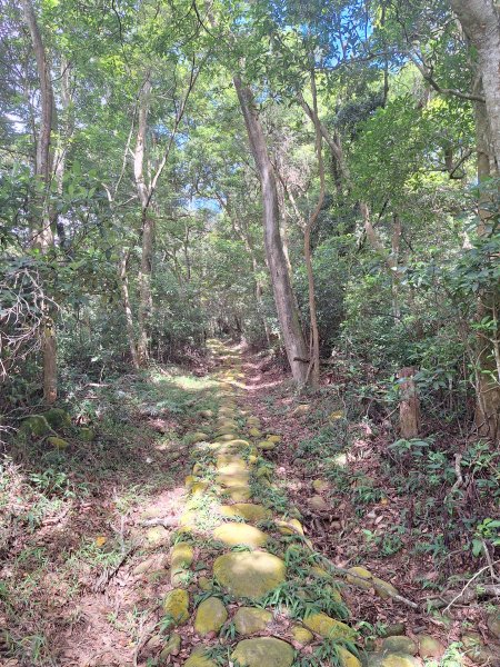 三義挑炭古道(三通嶺古道)11508233115415