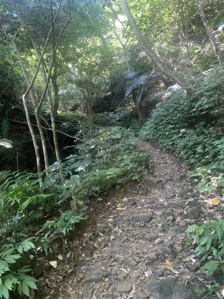 20260622石門山3079757
