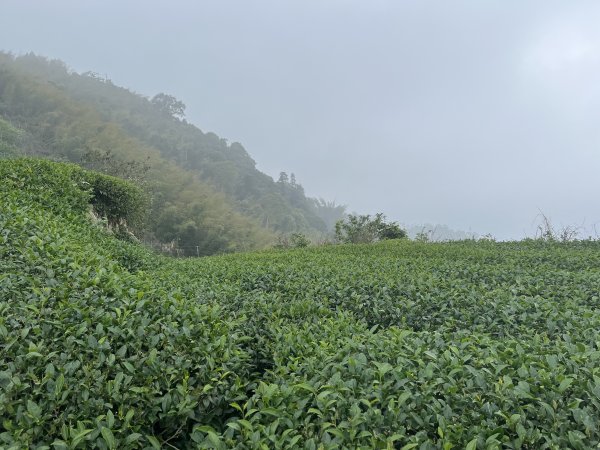 2023_0429_挑筍古道2138255