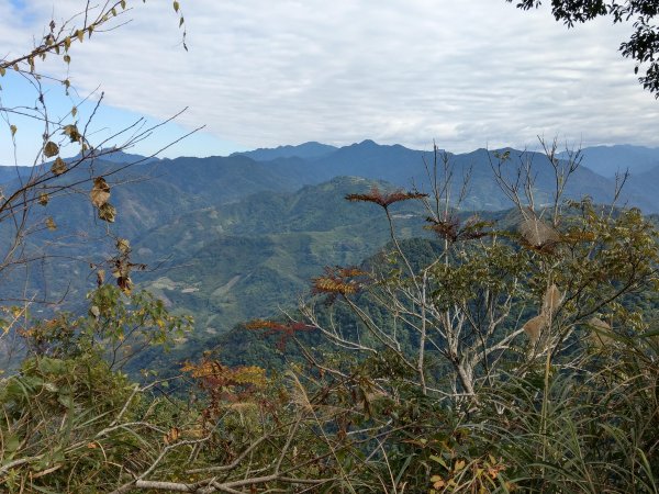 馬那邦山(小百岳#37)登山步道。點點楓紅 2020/12/131425319