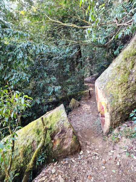 小百岳集起來-稍來山2181432