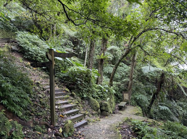 [微笑山線_第四段] 2026_0321 天上山系_天上山3020976