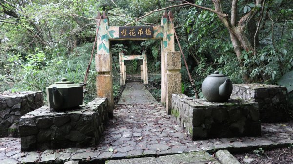 漫遊舊莊的桂花步道群 入山不一定要爬山，也可品嘗南港的茶香與韻味