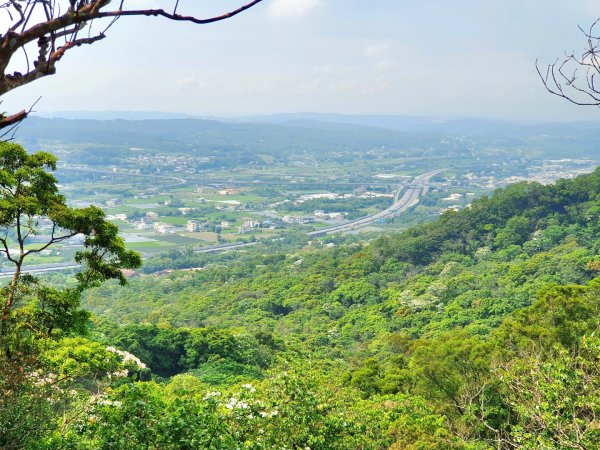 榛山北峰，榛山步道，三員縱走，三角山，長坑山，雙峰山，員屯山，文林古道，高梘頭山，糖塔山，鐘樓古道1691666