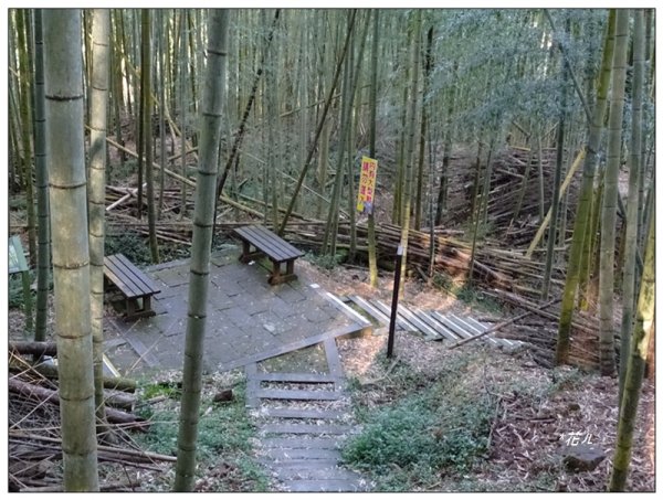 奮起湖大凍山(小百岳)1614089
