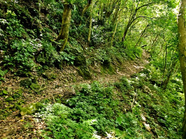 淡蘭南路第四段：𩻸魚堀溪自行車道至縣界公園2873646