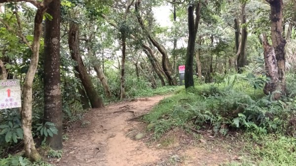 楊梅區龜山頭山-福人步道-莊迷湖-保甲路古道-東森山林森林步道-福人步道3074660
