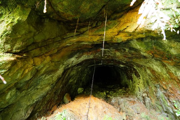 新北 平溪 薯榔尖、石筍尖、魔神仔洞2772546