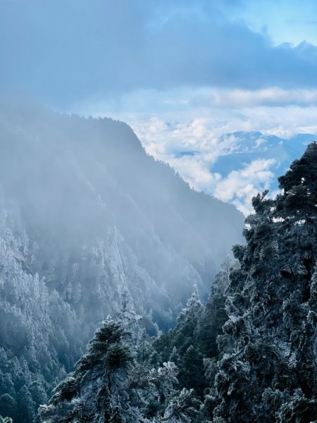 絕美銀白世界 玉山降下今年冬天「初雪」1236082