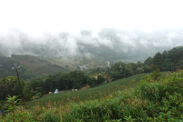 南山寺觀景台3086077