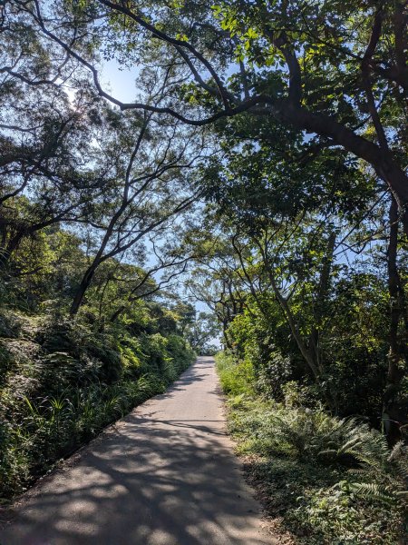 2025-06-21 臺北大縱走第五段來回 & 大崙頭尾山親山步道2818779