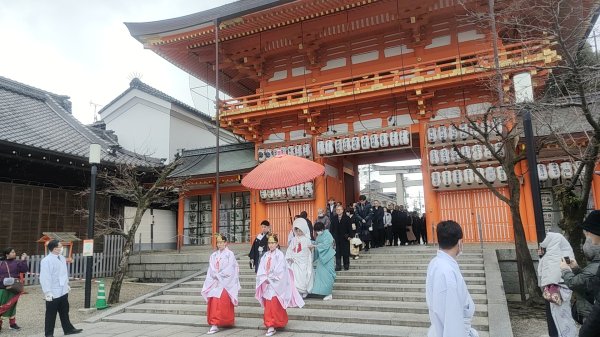 京都清水寺2453614