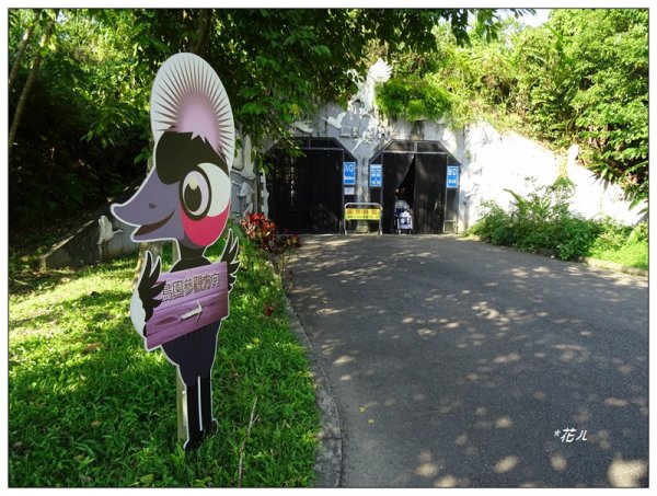 台北市動物園之旅1498037