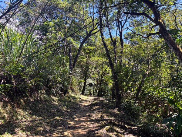 五分山系-望古瀑布段2896293