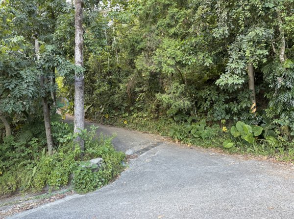 2025_1018 花蓮縣鳳林鎮鳳凰瀑布2921360