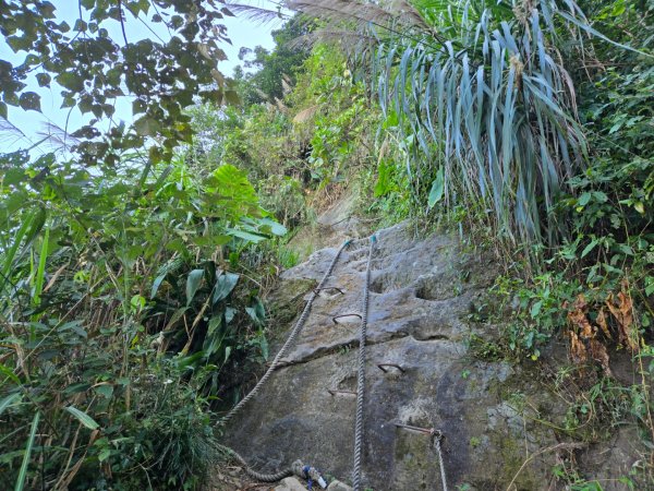 九龍山連走大凍山2955707