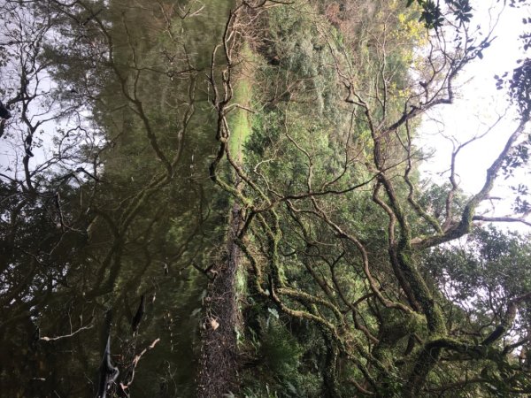 五酒桶山、南崁山2693360