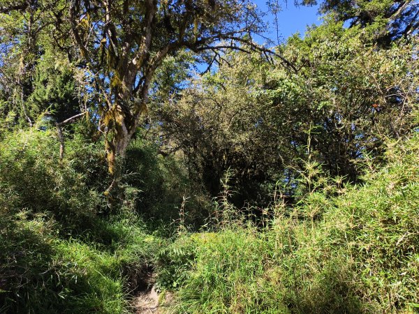 北一段(03/14)多加屯山 2025_0906~132885258