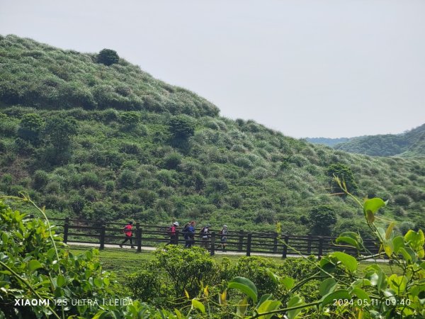 陽明山東西大縱走2610099