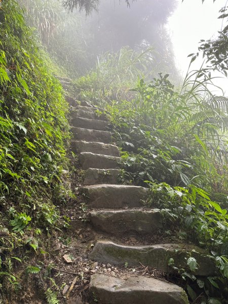 陡上陡下的溪頭鳳凰山1872922