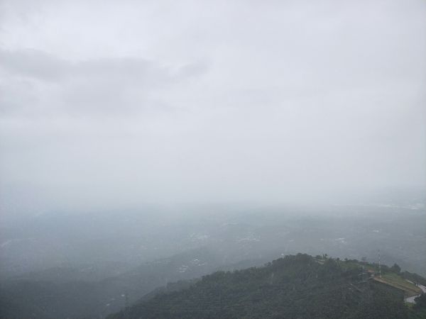 太平雲梯吊橋步道397169