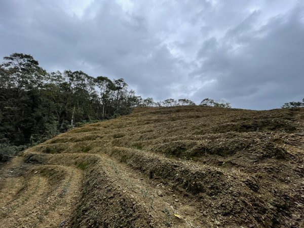 坪林烏窟子山2685874